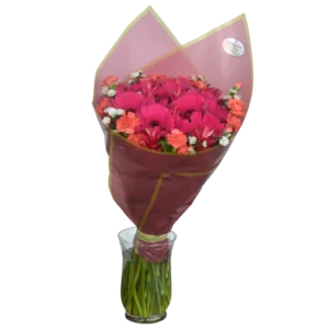Bouquet Fiesta Fucsia – Gerberas & Claveles (envuelto)